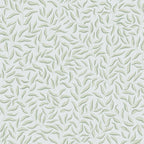 Karolina - Wallpaper Trader