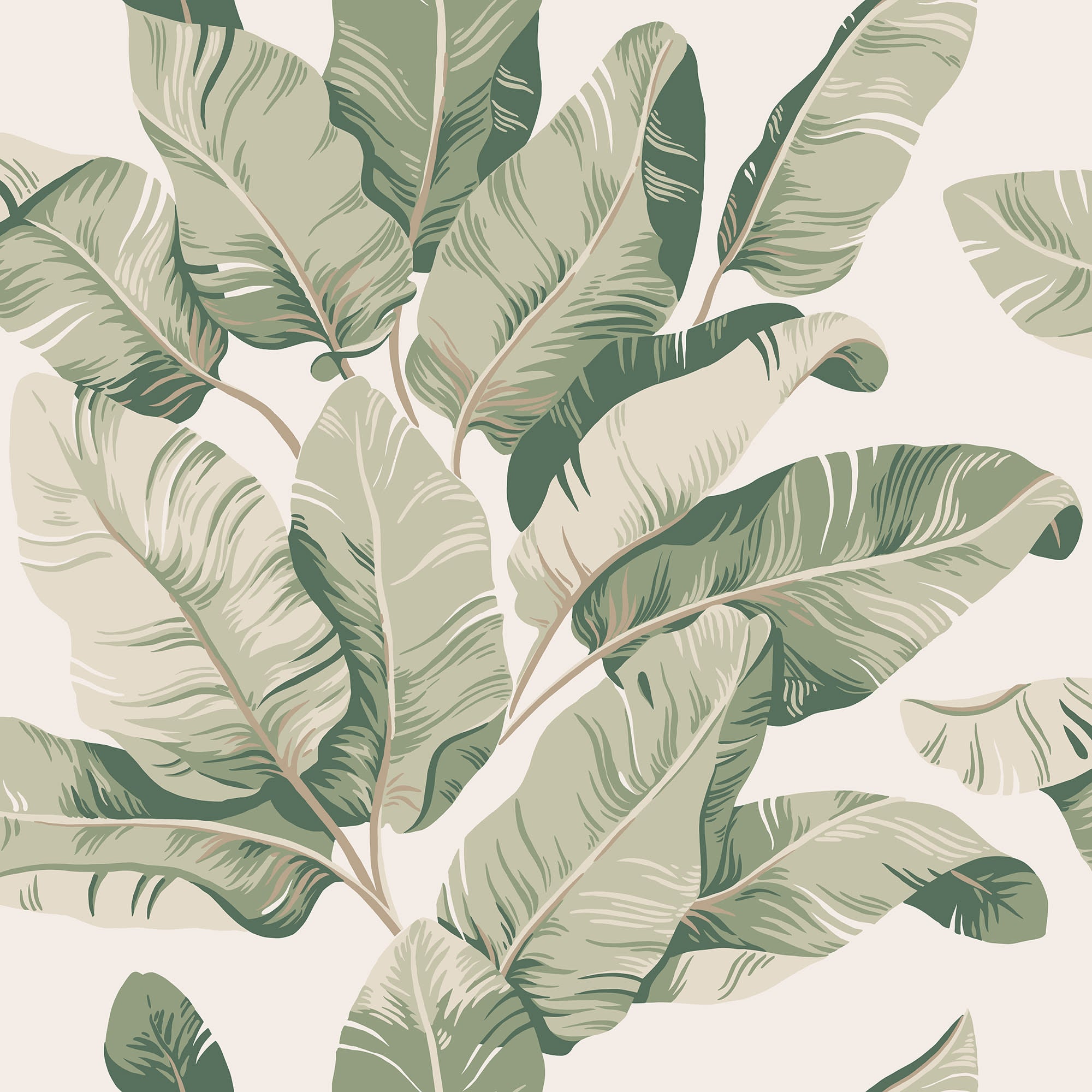 Tom Palms wallpaper by Sandberg in soft sage-green banana leaves on cream, flat swatch close-up