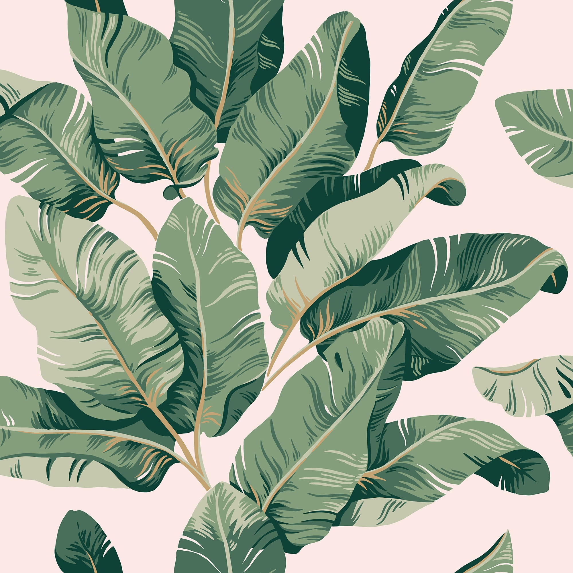 Tom Palms wallpaper by Sandberg, large green banana leaves on a soft pink ground, flat swatch close-up