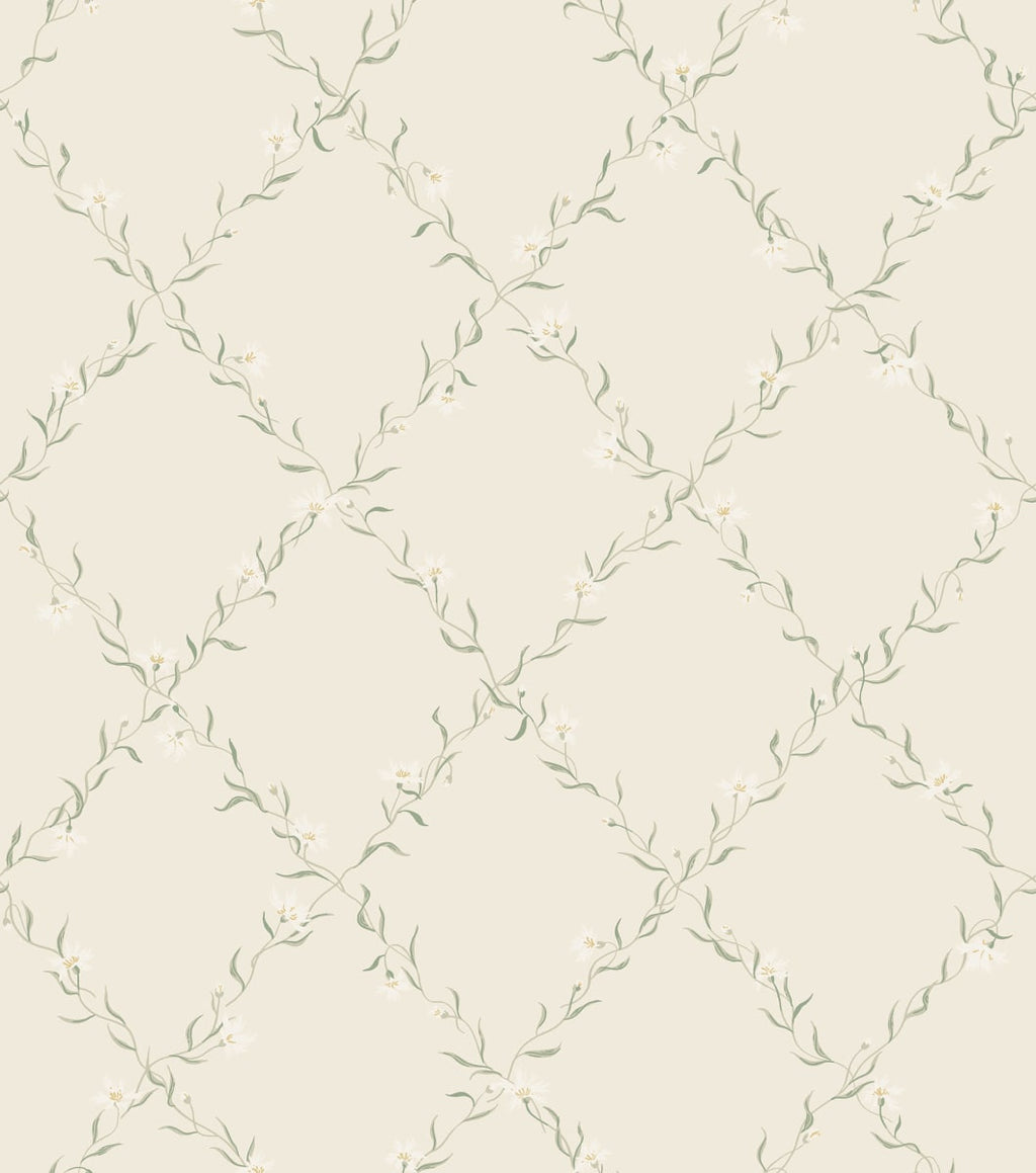 Ewa - Wallpaper Trader