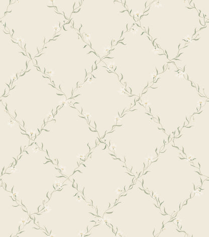 Ewa - Wallpaper Trader