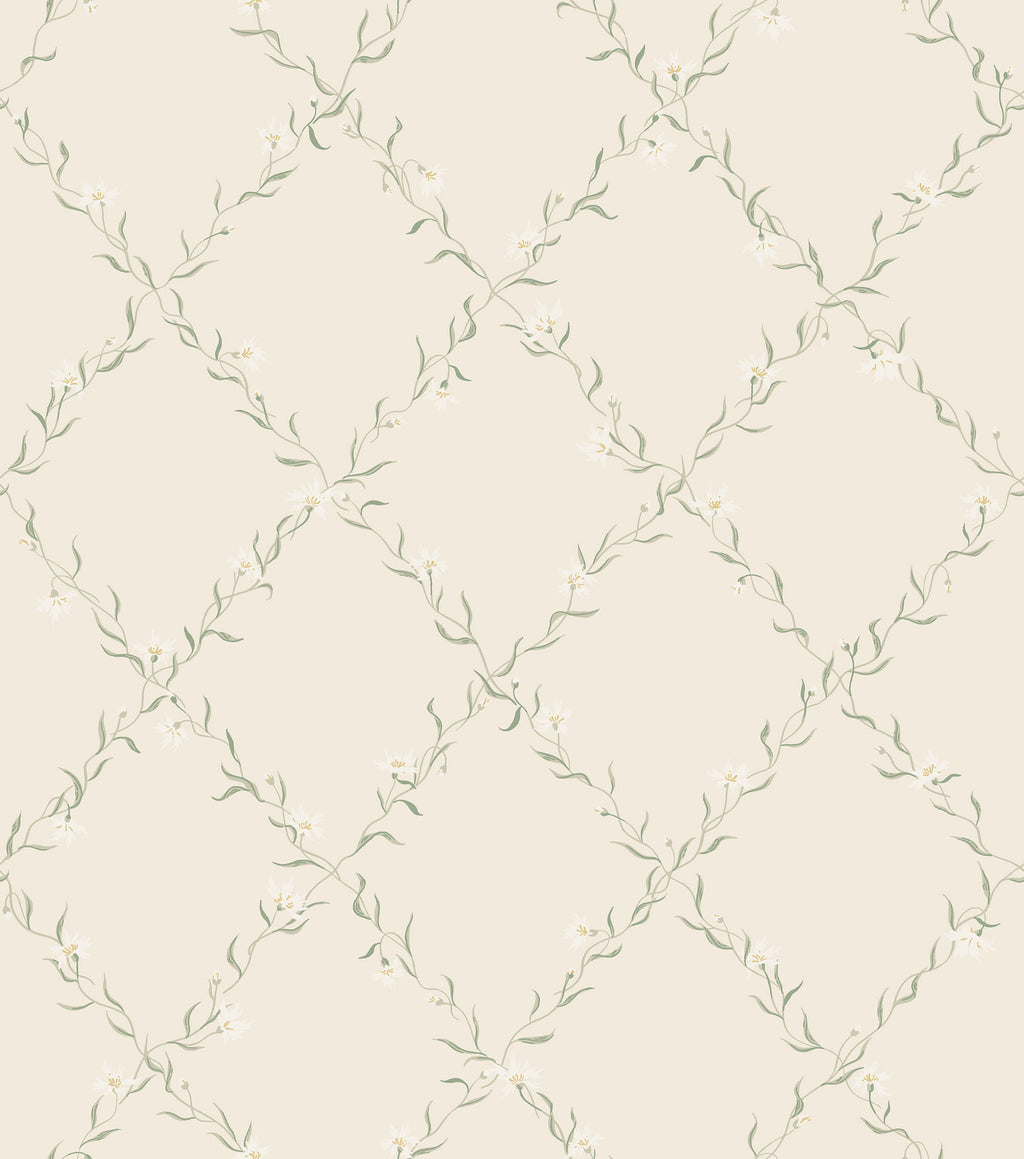 Ewa wallpaper by Sandberg, flat swatch of a green floral trellis vine on cream