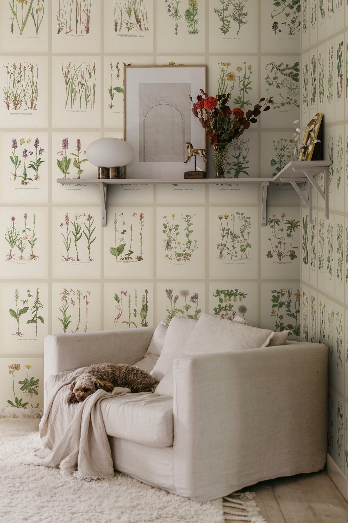 Botanica wallpaper by Sandberg – botanical design, Beige – Oat – styled in a room setting, view 4
