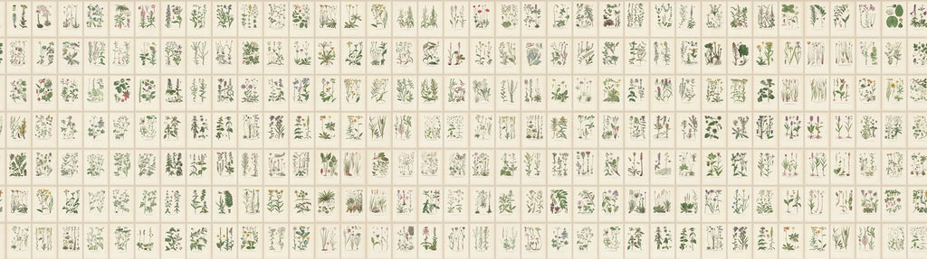 Botanica wallpaper by Sandberg – botanical design, Beige – Oat – flat swatch showing the repeat, view 2