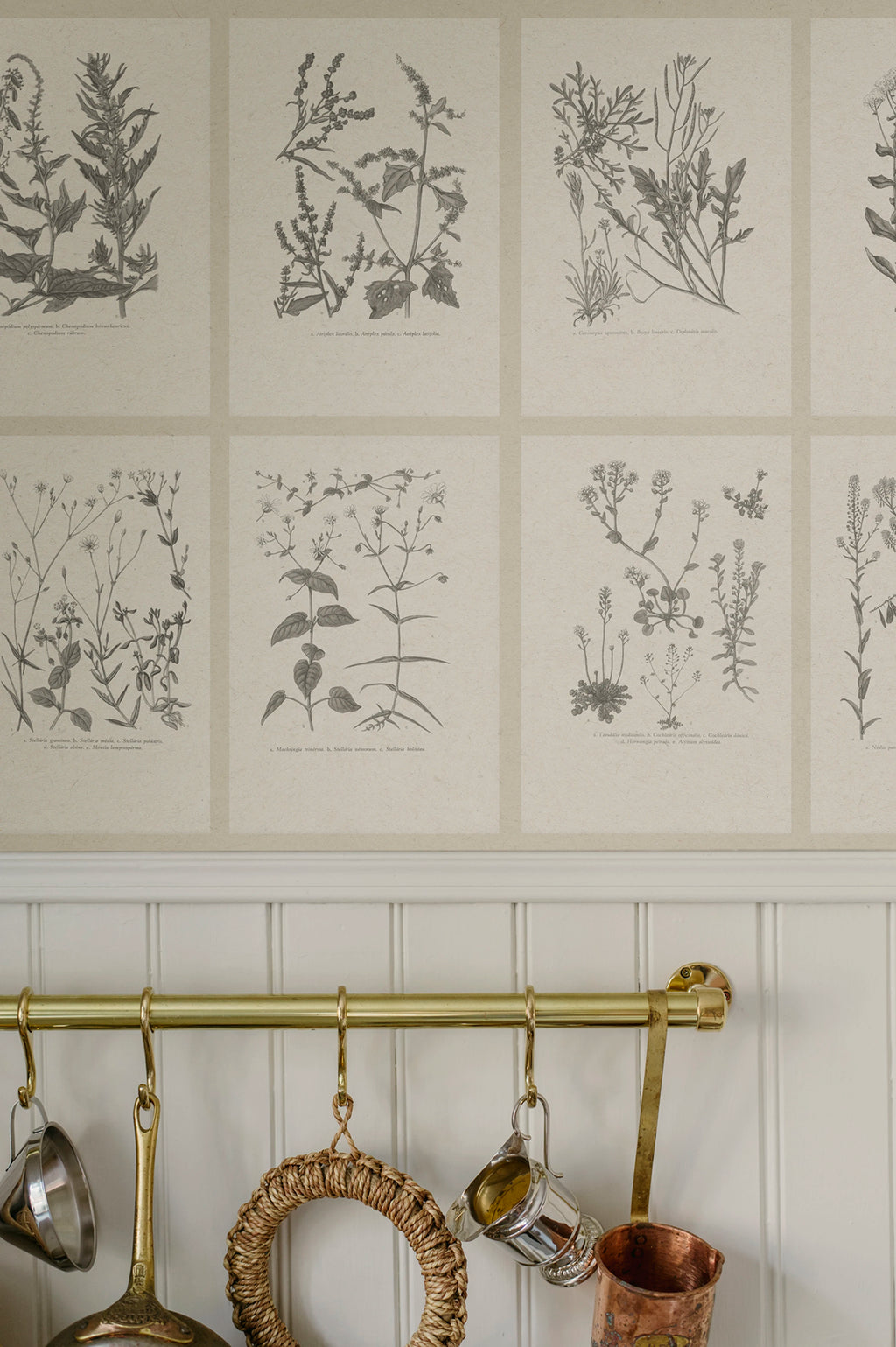 Botanica wallpaper by Sandberg – botanical design, Grey – Graphite – styled in a room setting, view 2