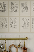 Botanica wallpaper by Sandberg – botanical design, Grey – Graphite – styled in a room setting, view 2