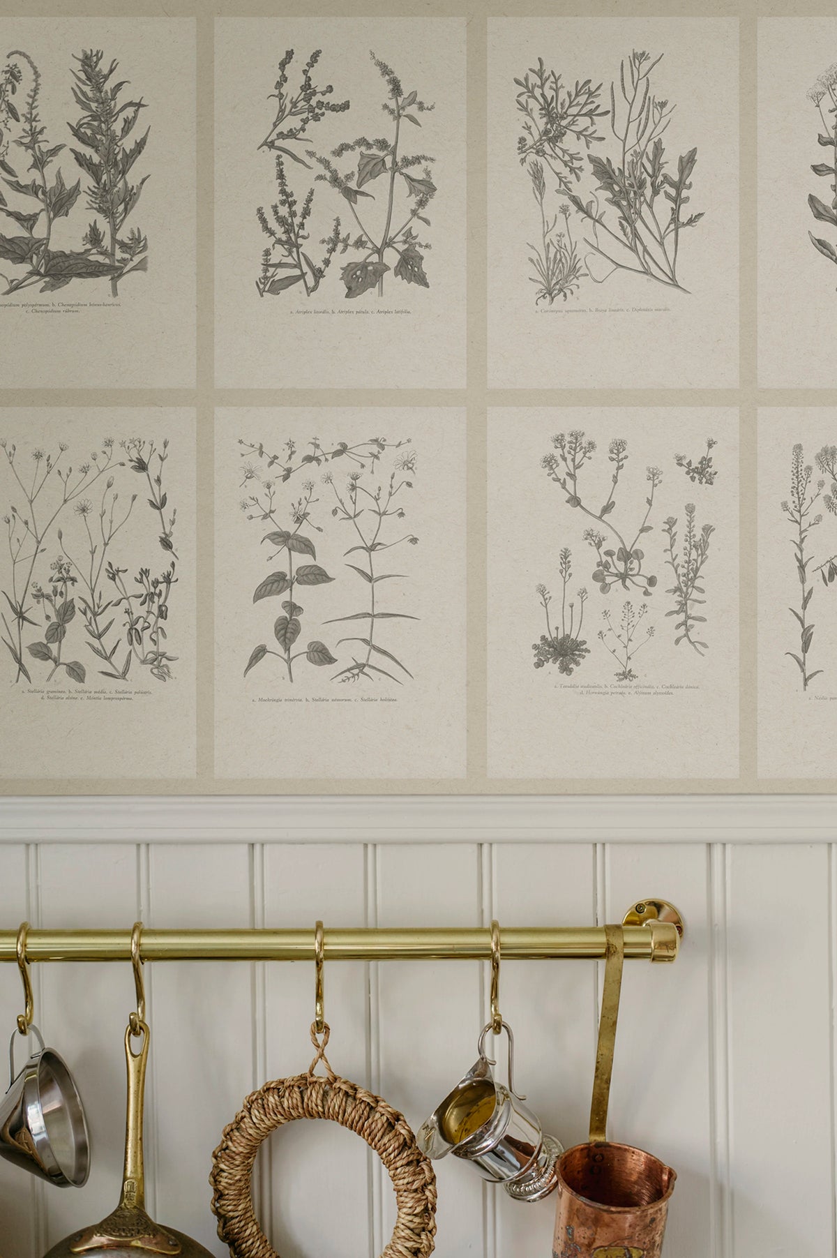 Botanica wallpaper by Sandberg – botanical design, Grey – Graphite – styled in a room setting, view 2