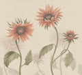 Sunflowers wall mural by Sandberg – floral design, Peach