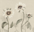 Sunflowers wall mural by Sandberg – floral design, White – flat swatch showing the repeat, view 2