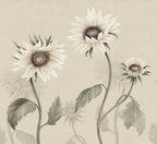 Sunflowers wall mural by Sandberg – floral design, White – flat swatch showing the repeat, view 2
