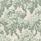 Ragnvi wallpaper by Sandberg in sage green and white, flat roll swatch of the blossoming chrysanthemum tree pattern on a pale cream ground
