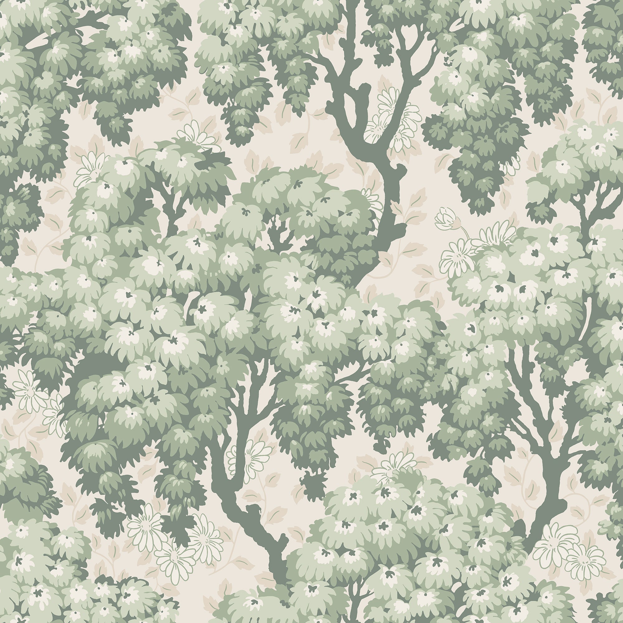 Ragnvi wallpaper by Sandberg in sage green and white, flat roll swatch of the blossoming chrysanthemum tree pattern on a pale cream ground