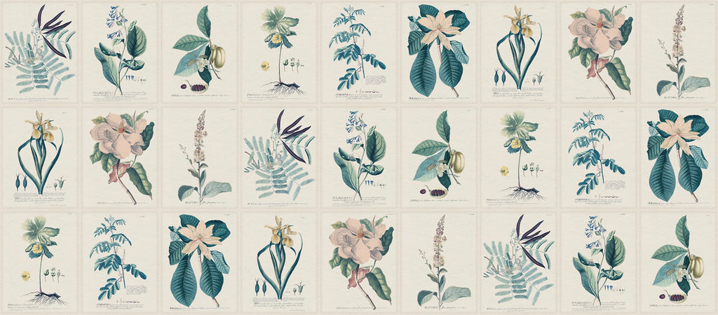 Flora wallpaper by Sandberg – botanical design, Blue, flat pattern repeat