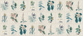 Flora wallpaper by Sandberg – botanical design, Blue, flat pattern repeat