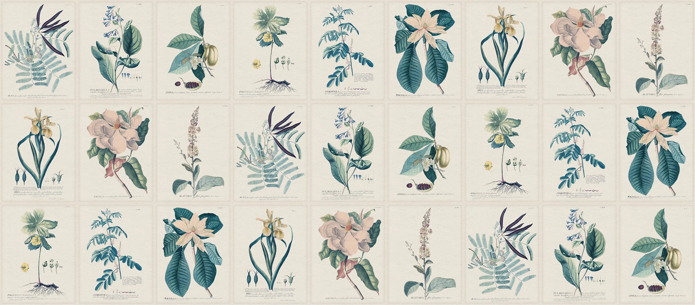 Flora wallpaper by Sandberg – botanical design, Blue, flat pattern repeat