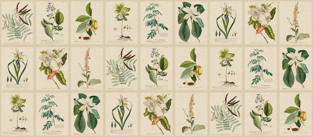 Flora wallpaper by Sandberg – botanical design, Green, flat pattern repeat