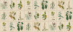 Flora wallpaper by Sandberg – botanical design, Green, flat pattern repeat