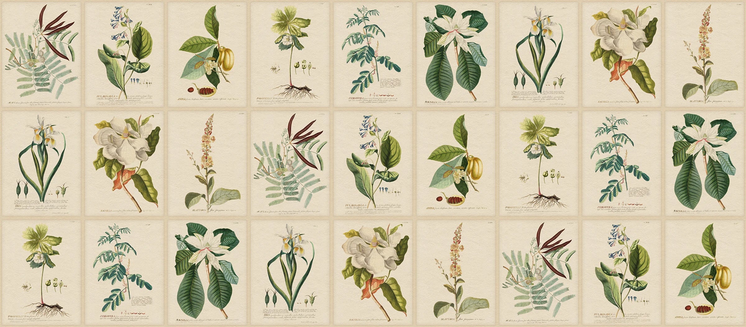 Flora wallpaper by Sandberg – botanical design, Green, flat pattern repeat