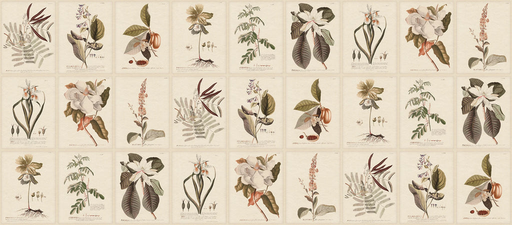 Flora wallpaper by Sandberg – botanical design, Sepia, flat pattern repeat