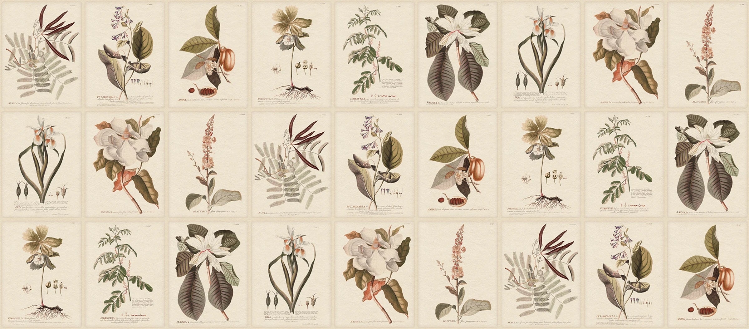 Flora wallpaper by Sandberg – botanical design, Sepia, flat pattern repeat