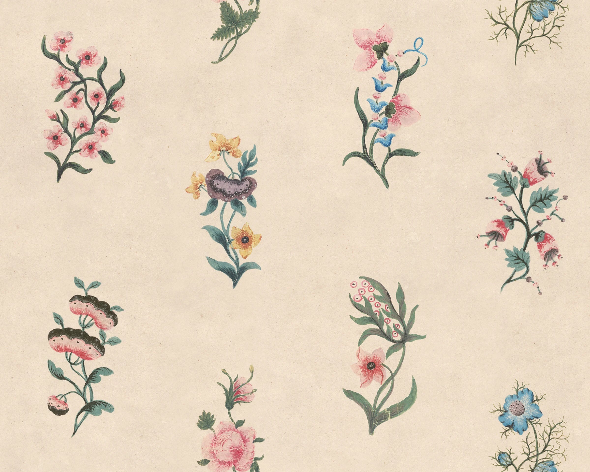 Victoria wallpaper by Sandberg – floral design, Colorful, flat pattern repeat