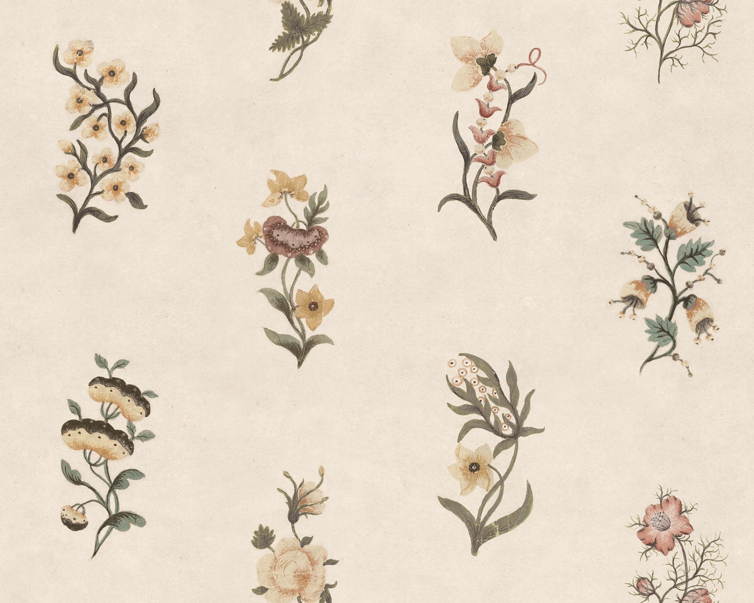Victoria wallpaper by Sandberg – floral design, Honey, flat pattern repeat