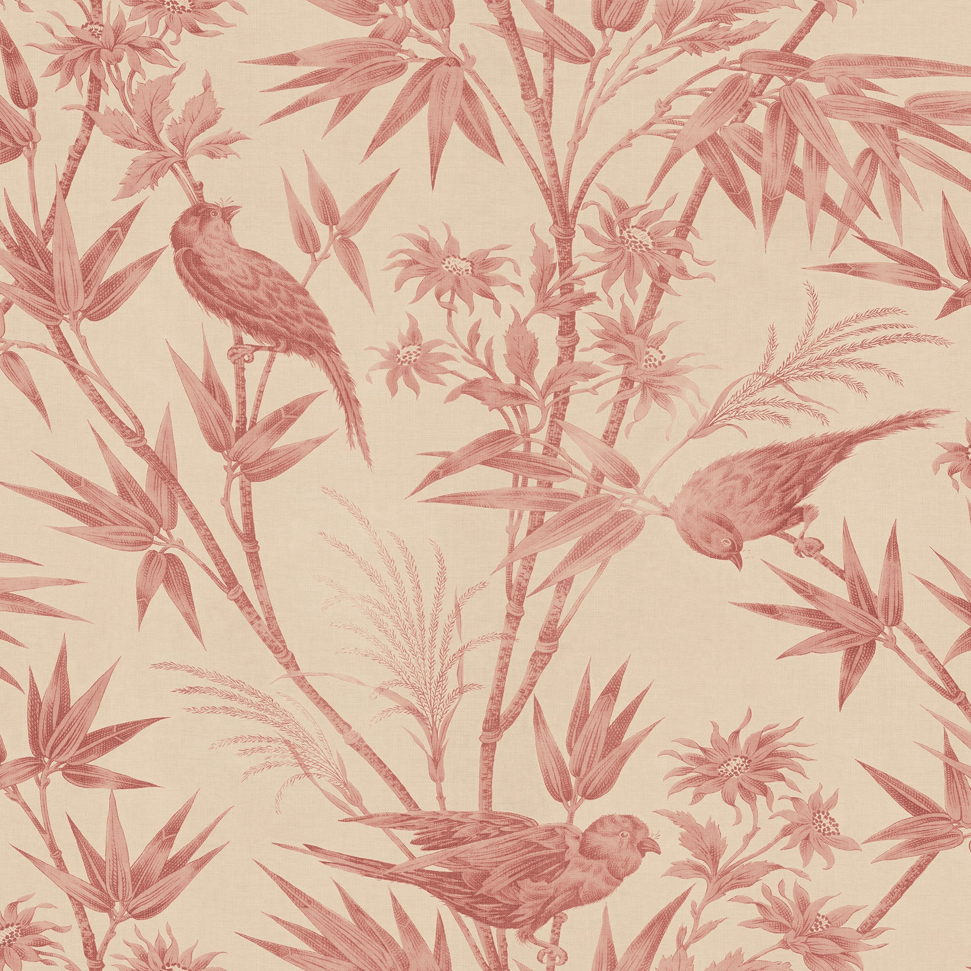 Celeste wallpaper by Sandberg in coral pink on cream, birds among bamboo and blooms, flat roll swatch