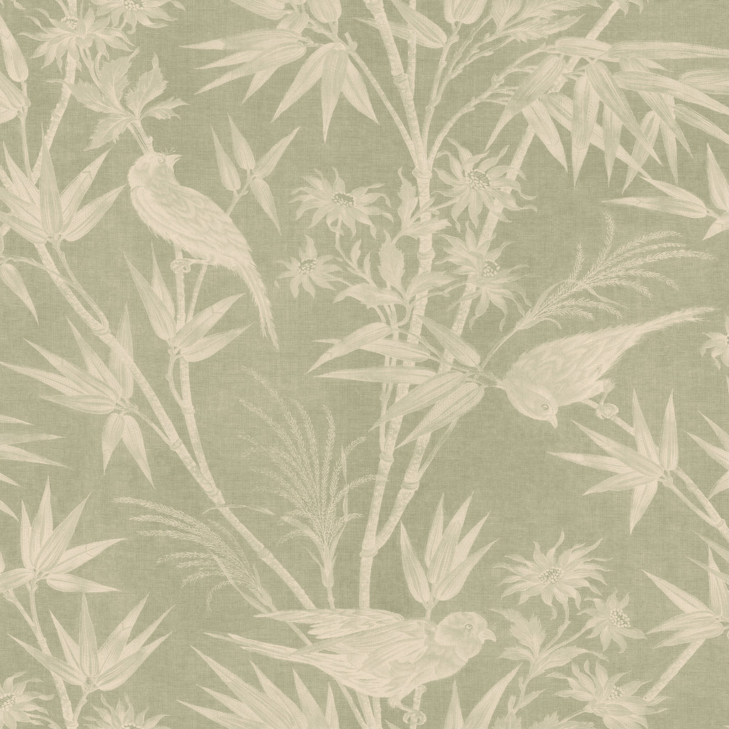Celeste wallpaper by Sandberg in sage green, songbirds among bamboo, ferns and daisies, flat roll swatch