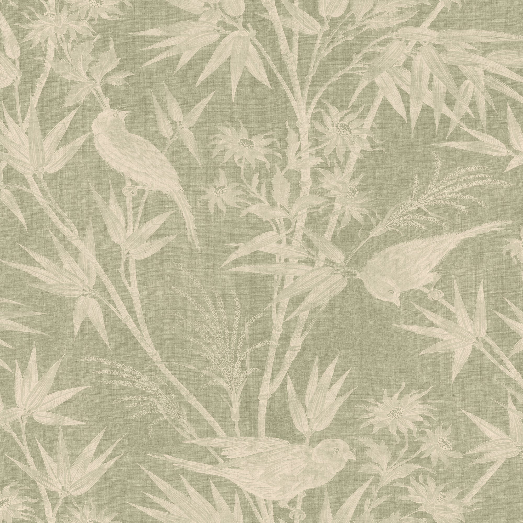 Celeste wallpaper by Sandberg in sage green, songbirds among bamboo, ferns and daisies, flat roll swatch