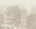Charles Mural wall mural by Sandberg – forest & woodland design, Beige – flat swatch showing the repeat