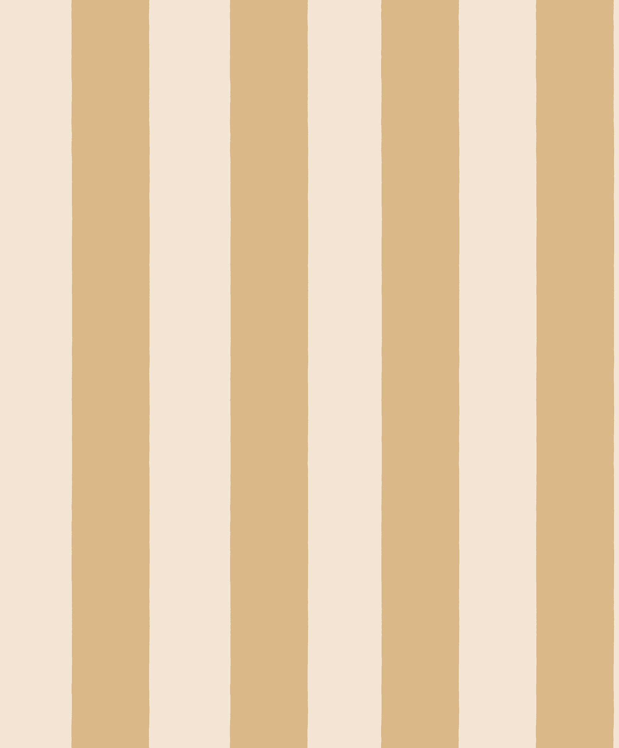 Sam wallpaper by Sandberg, broad vertical stripes in golden ochre and cream, flat swatch