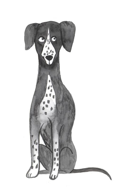 Taiga Dogs & Friends