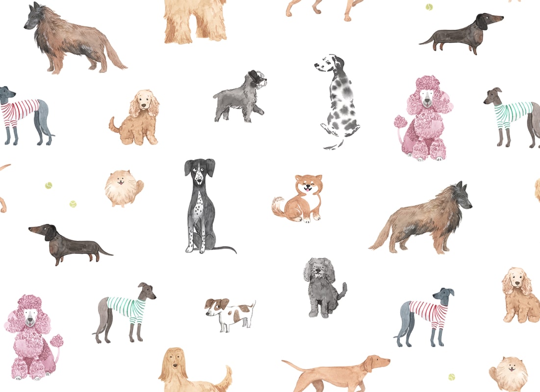 Taiga Dogs & Friends wallpaper mural – view 10
