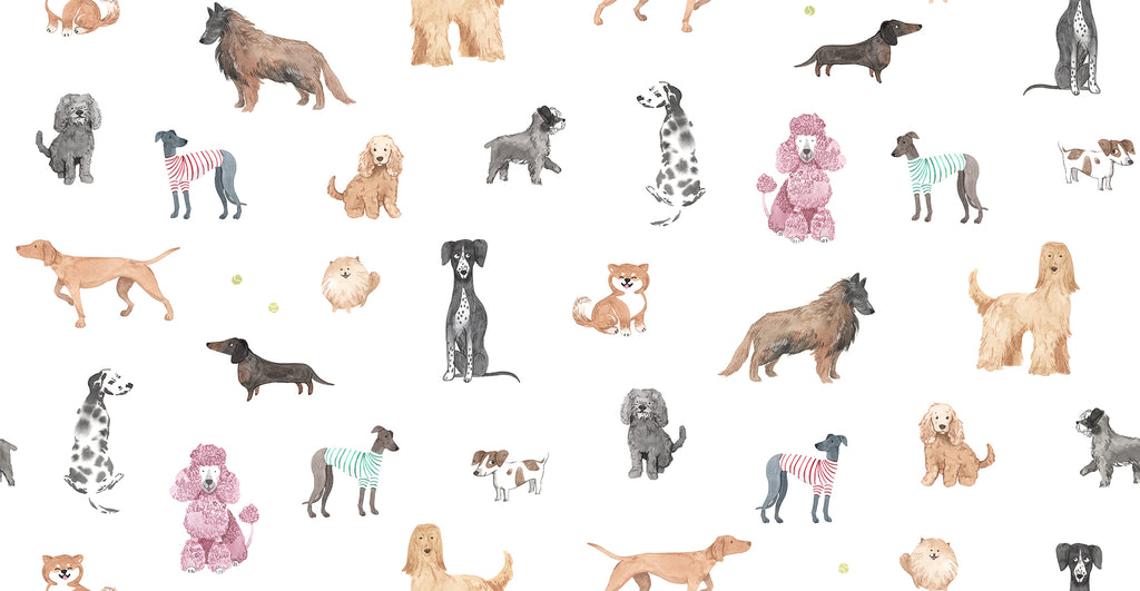 Taiga Dogs & Friends wall mural by Sandberg in white, flat view of watercolour dog breeds across a white ground