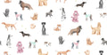 Taiga Dogs & Friends wall mural by Sandberg in white, flat view of watercolour dog breeds across a white ground