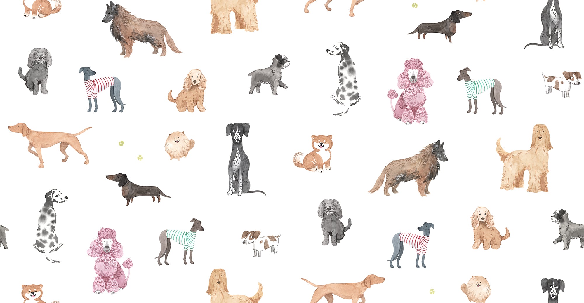 Taiga Dogs & Friends wall mural by Sandberg in white, flat view of watercolour dog breeds across a white ground