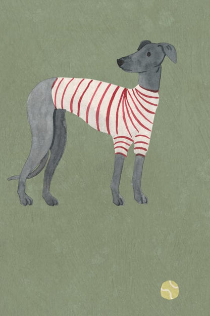 Taiga Dogs & Friends