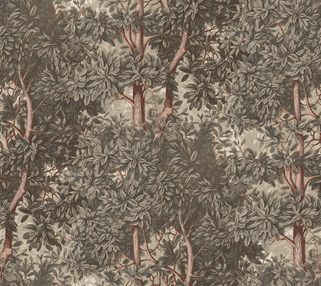 Charles wallpaper by Sandberg – forest & woodland design, Grey – flat swatch showing the repeat, view 3