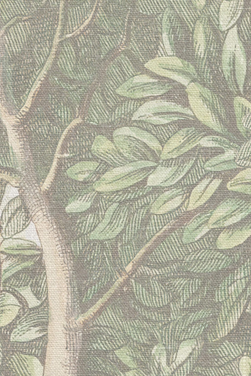 Charles wallpaper by Sandberg – forest & woodland design, Light Green – close-up of the print and texture, view 5