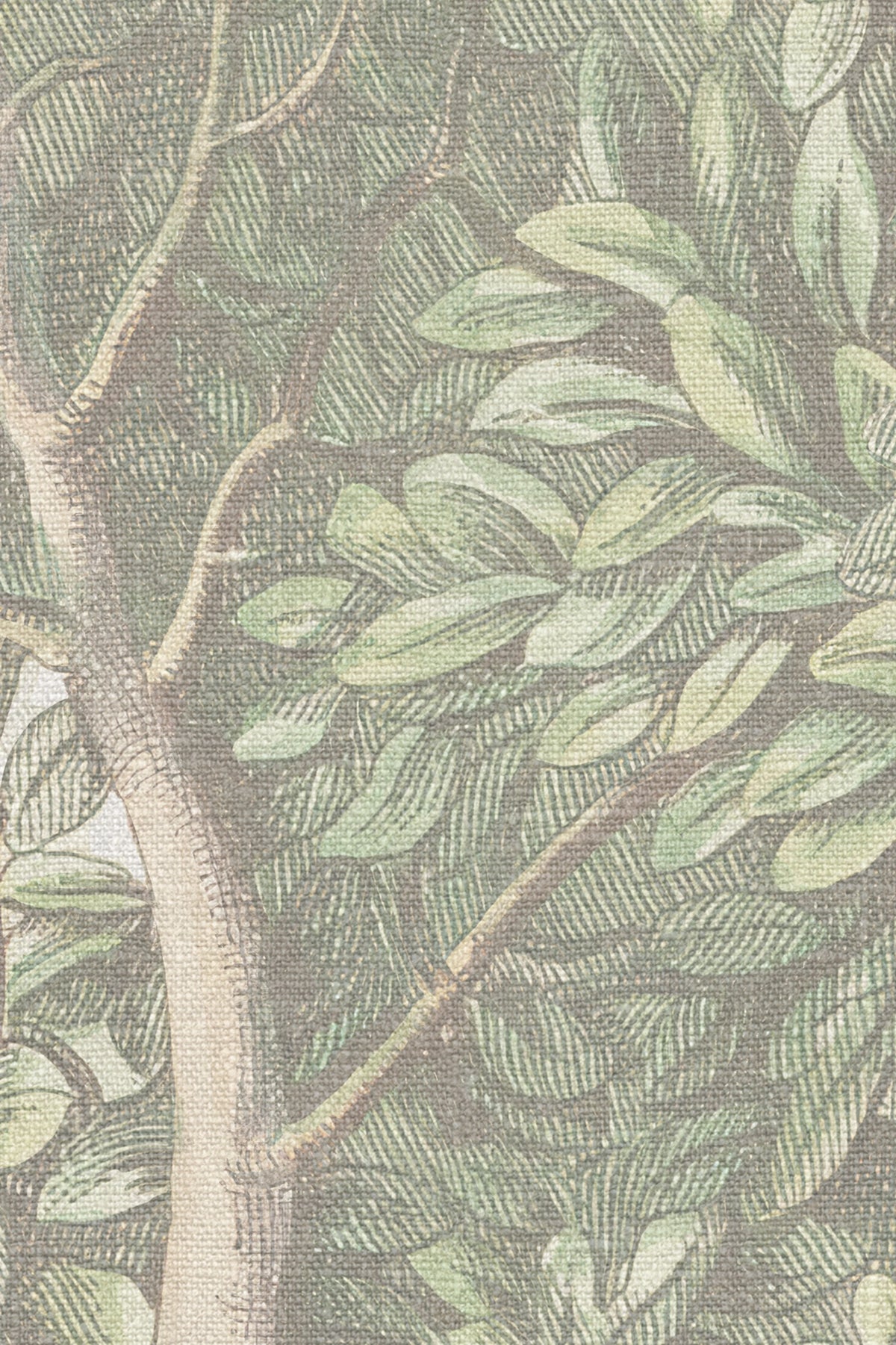 Charles wallpaper by Sandberg – forest & woodland design, Light Green – close-up of the print and texture, view 5