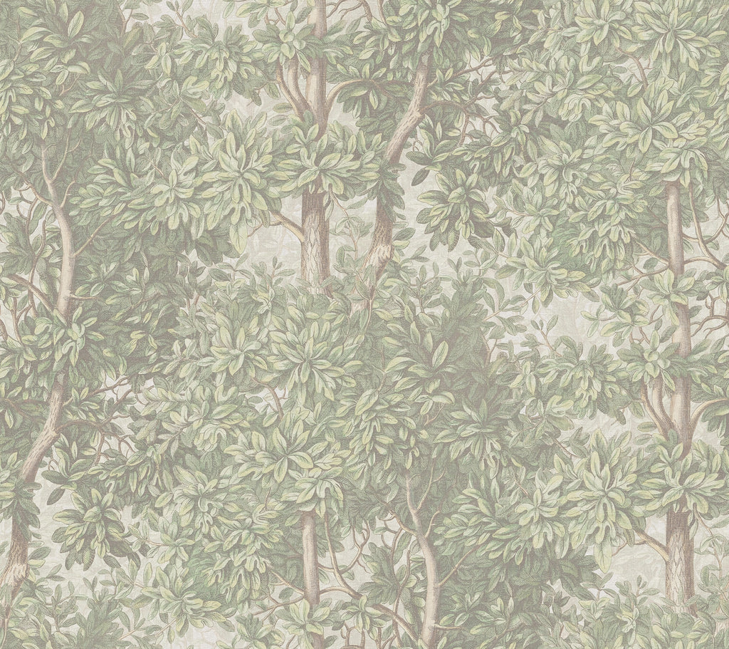 Charles wallpaper by Sandberg – forest & woodland design, Light Green – flat swatch showing the repeat, view 5