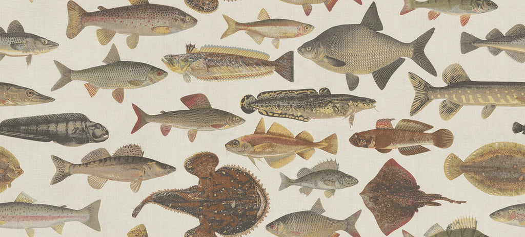 Scandinavian Fish wallpaper by Sandberg – animals design, Beige