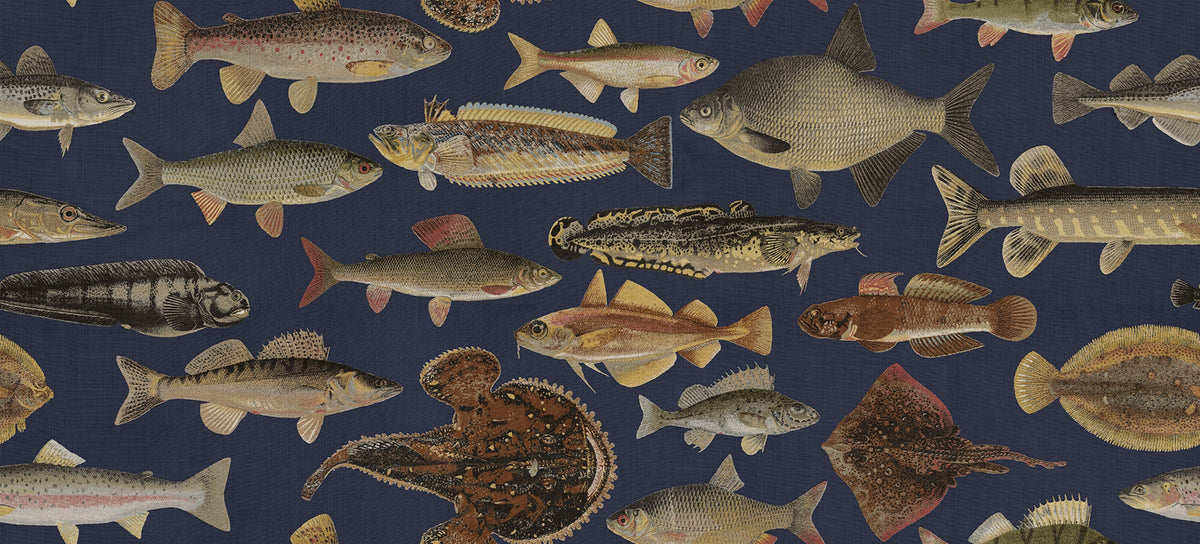 Scandinavian Fish wallpaper by Sandberg – animals design, Blue – Dark Blue