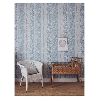 Seashells - Wallpaper Trader