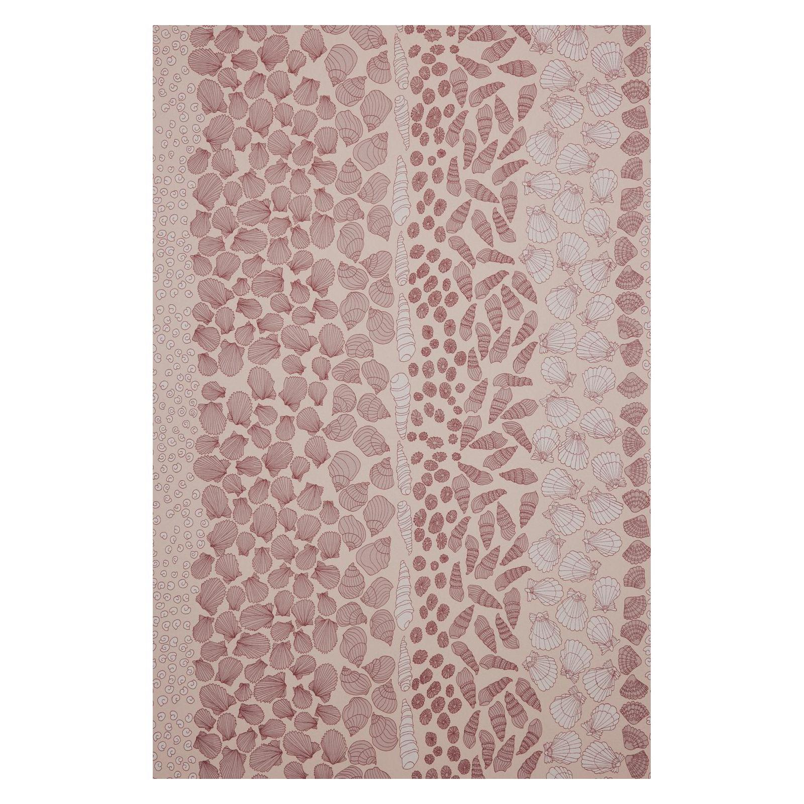 Seashells - Wallpaper Trader