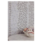 Seashells - Wallpaper Trader