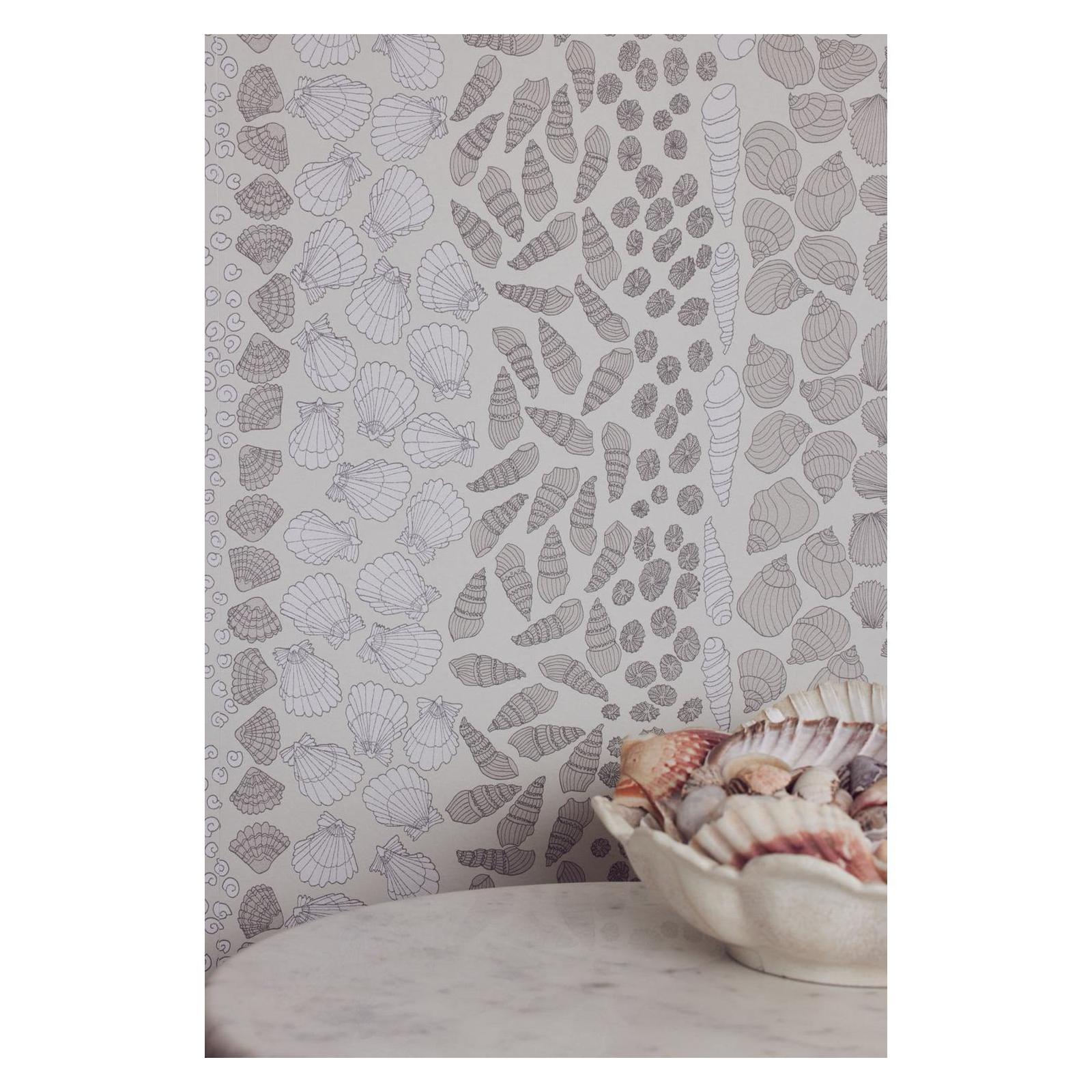Seashells - Wallpaper Trader