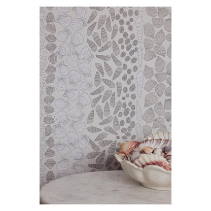 Seashells - Wallpaper Trader