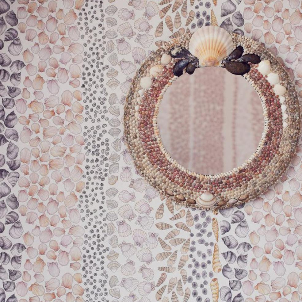 Seashells - Wallpaper Trader