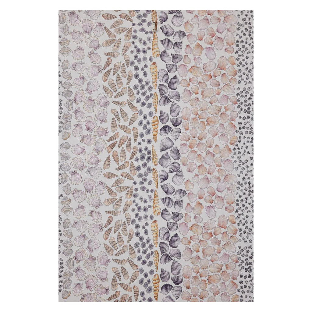 Seashells - Wallpaper Trader